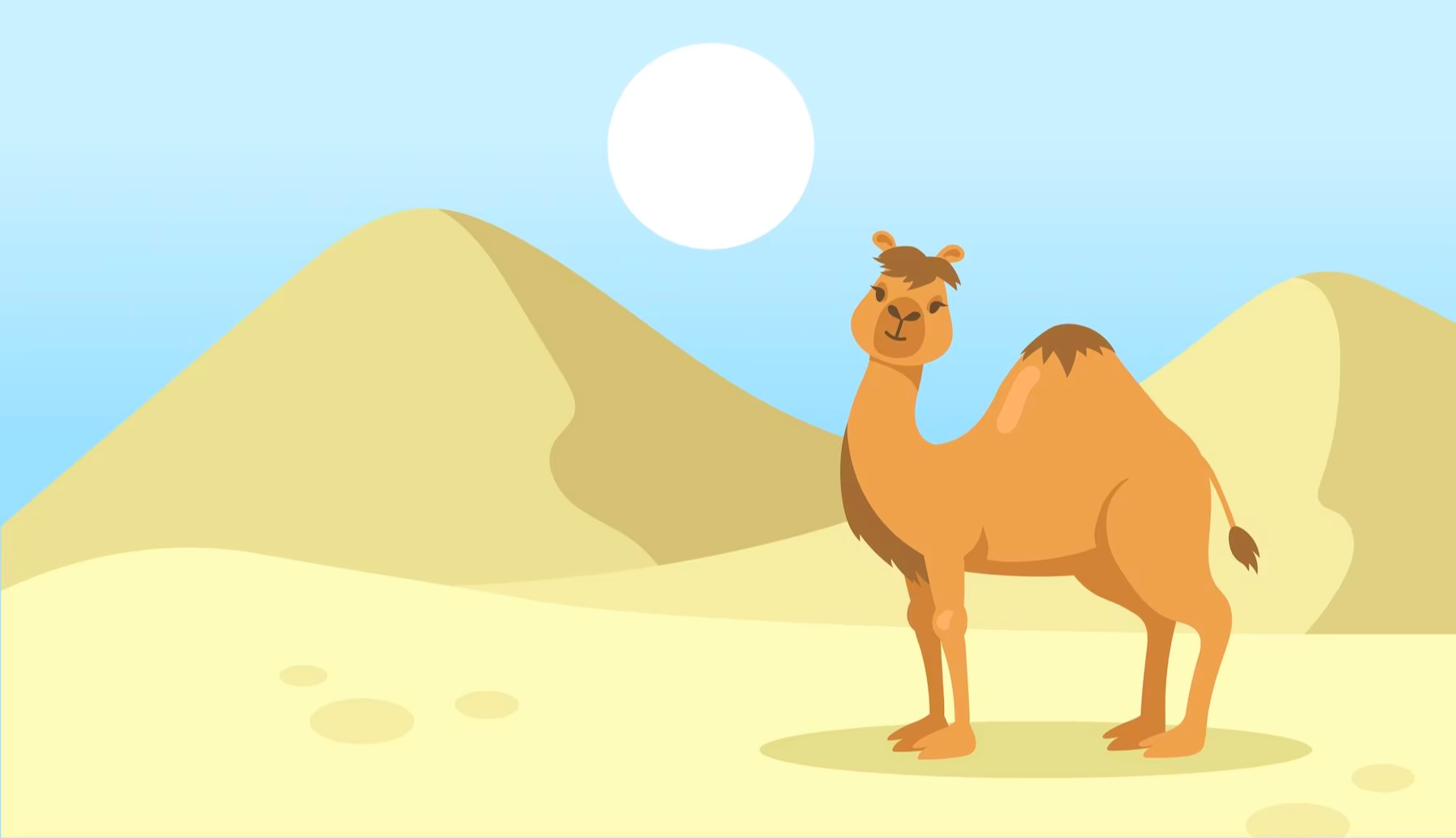 Откуда у верблюда горб. Camel and Desert vector. Шел один верблюд шел второй верблюд шел целый Караван. Шёл верблюд 1. Другая идет как верблюд а эта Ровно кладет ноги.